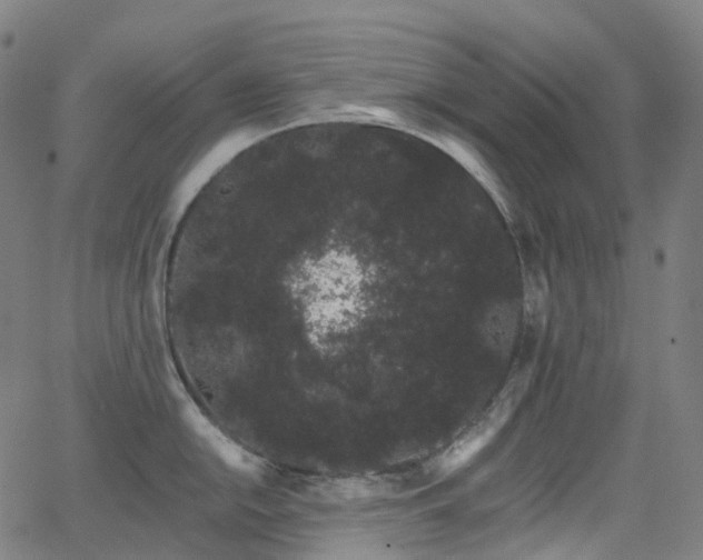 X0000062841054200601131319