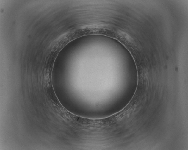 X0000062841062200601131318