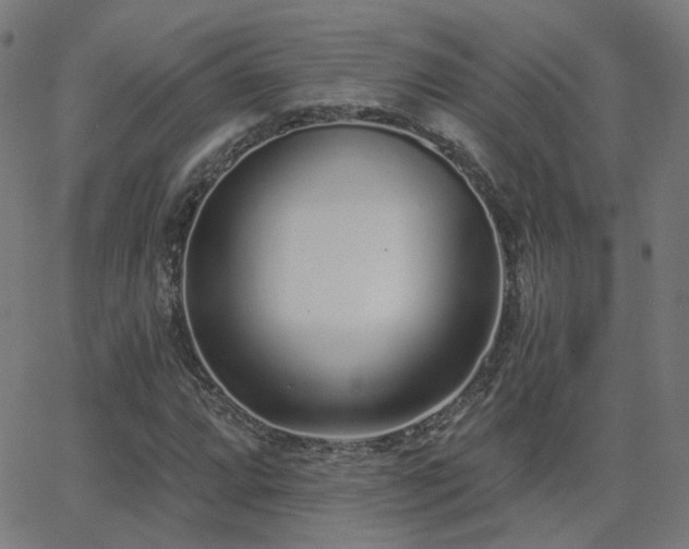 X0000062841064200601131318