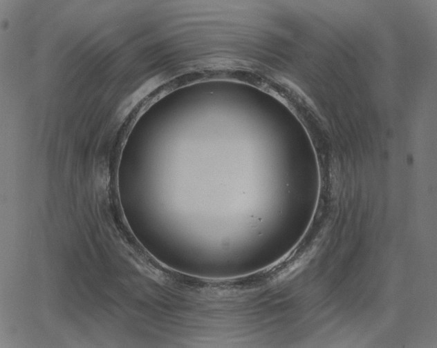 X0000062841065200601131318