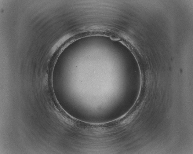 X0000062841066200601131318