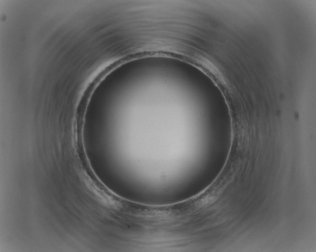 X0000062841076200601131318