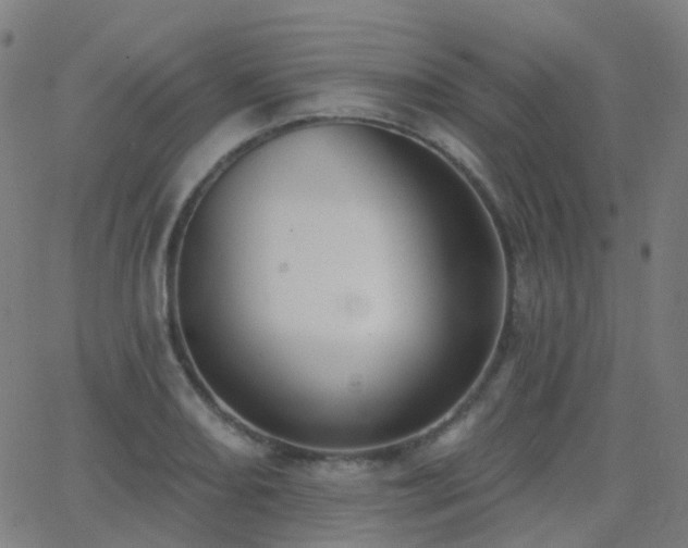 X0000062841082200601131318