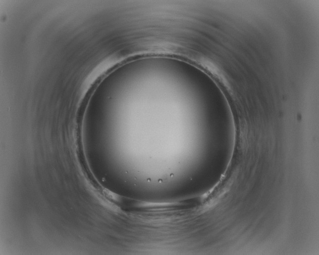 X0000062841085200601131318