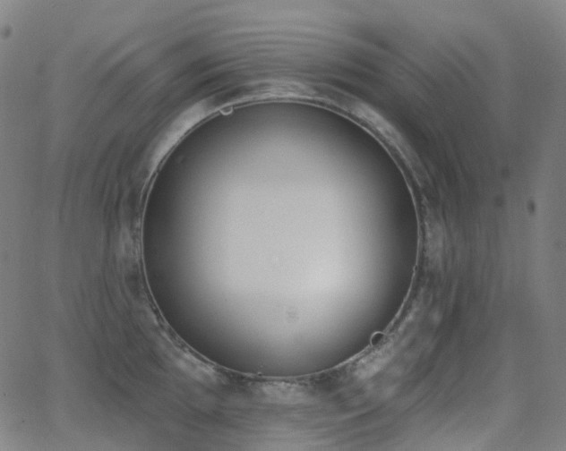 X0000062841097200601131317