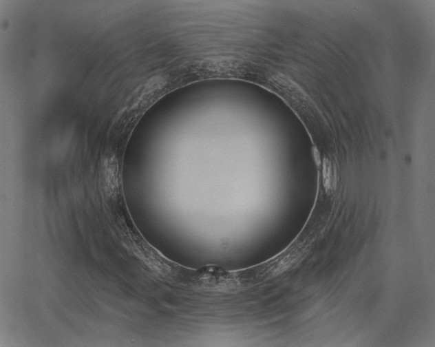 X0000062841107200601131316