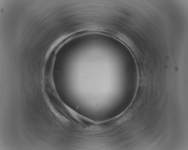X0000062841128200601131317