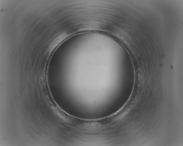 X0000062841129200601131317