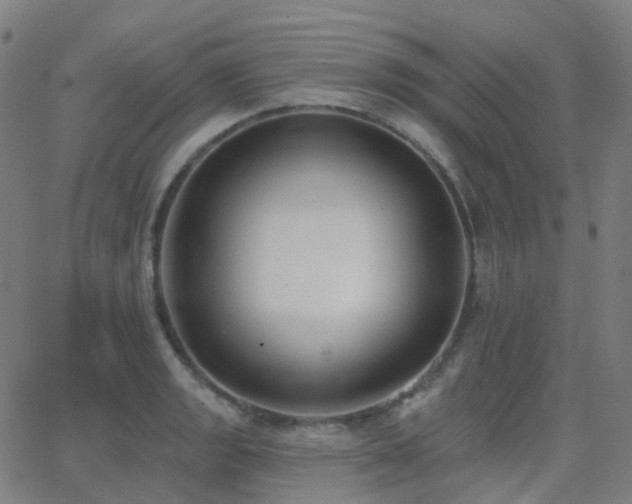 X0000062841133200601131317