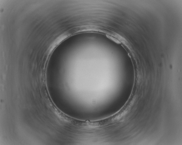 X0000062841145200601131317