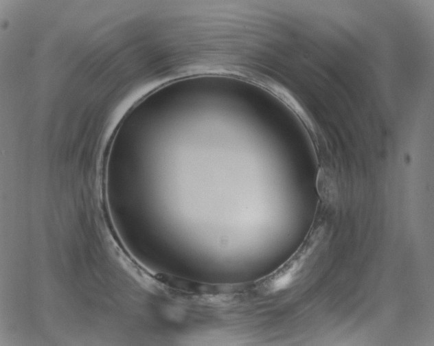 X0000062841148200601131317