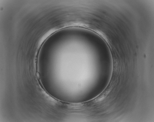 X0000062841151200601131317