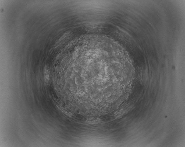 X0000062841154200601131316