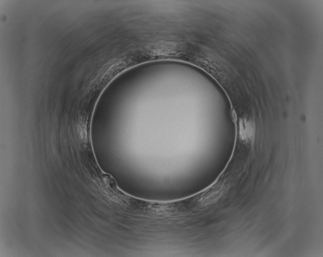 X0000062841155200601131316