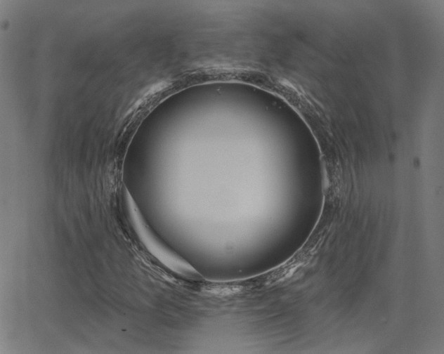 X0000062841157200601131316