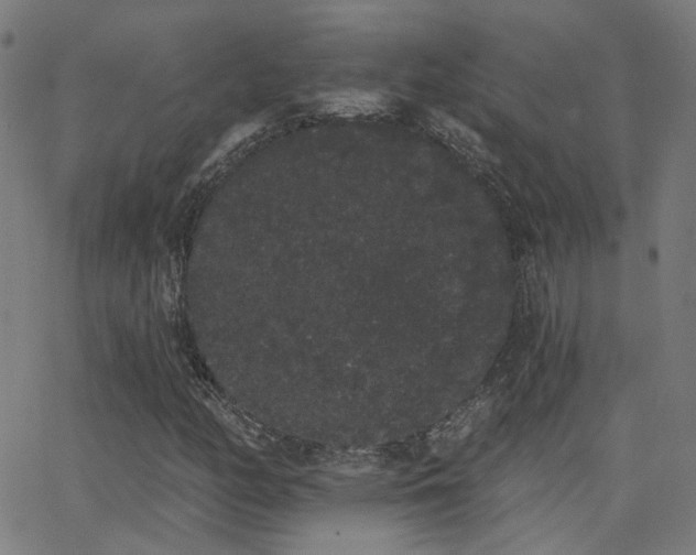 X0000062841158200601131316