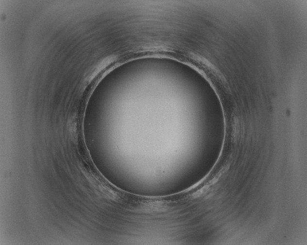 X0000062841162200601131316
