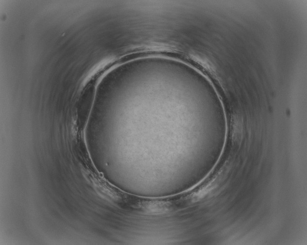 X0000062841163200601131316