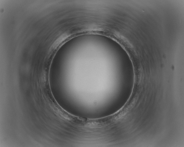 X0000062841169200601131316