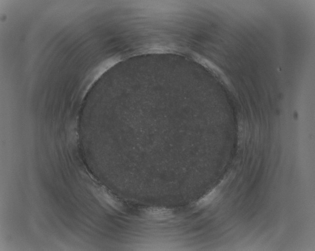 X0000062841170200601131316