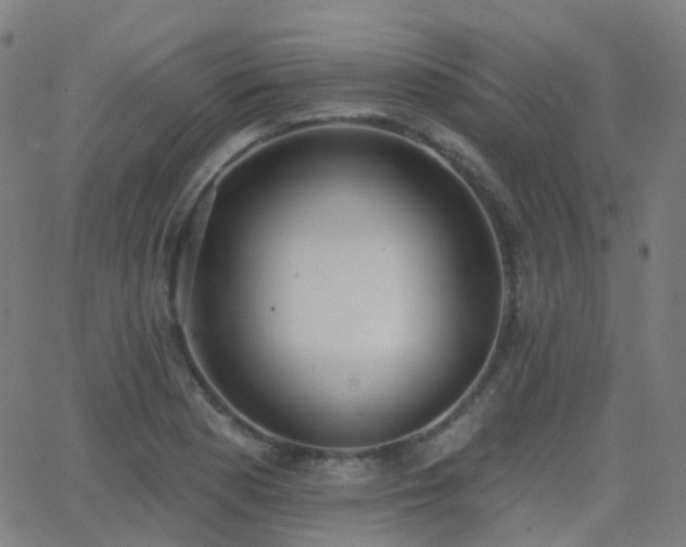 X0000062841177200601131316