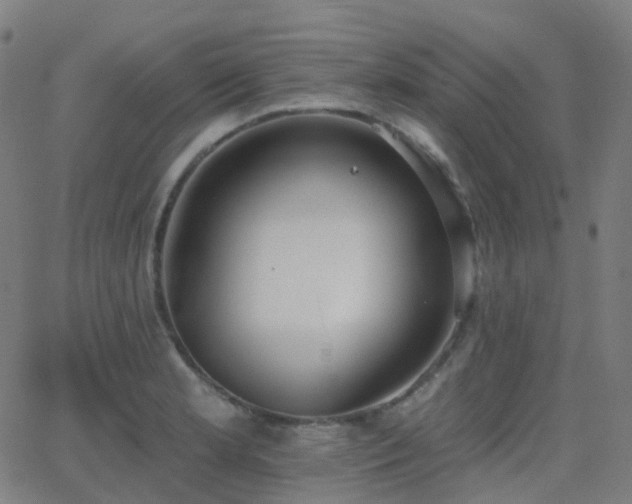 X0000062841181200601131316