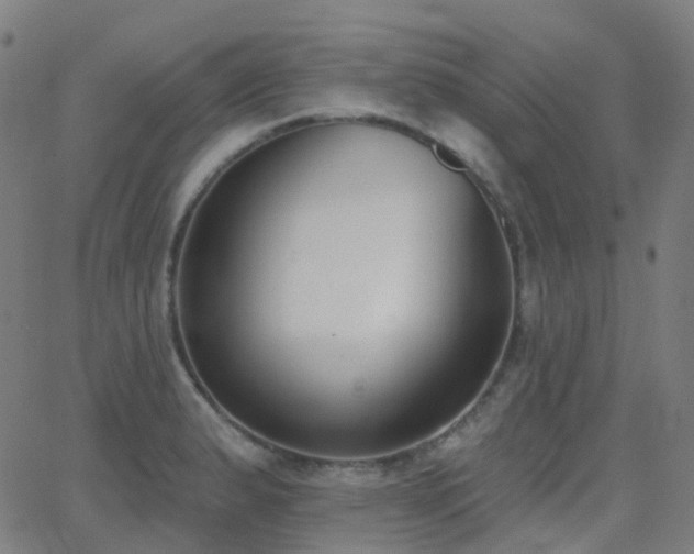 X0000062841183200601131316