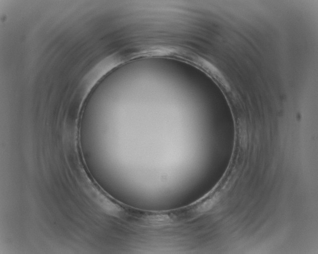 X0000062841186200601131316