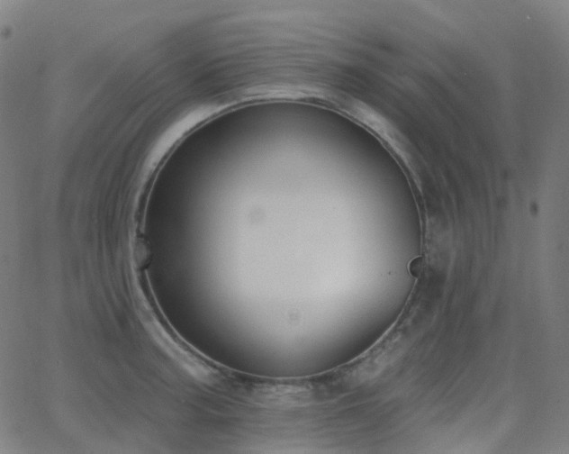 X0000062841187200601131316