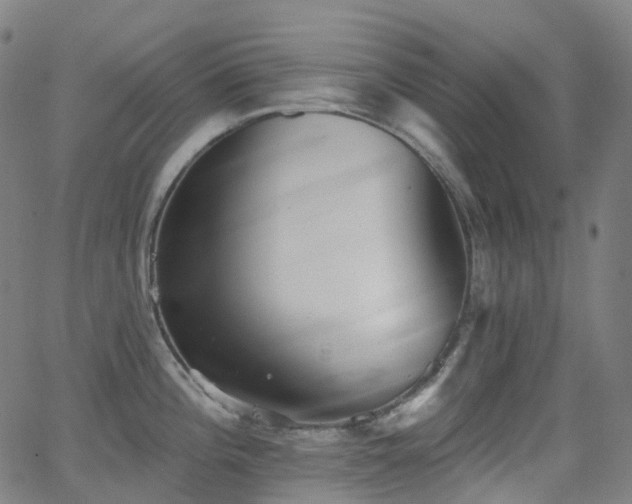 X0000062841196200601131316