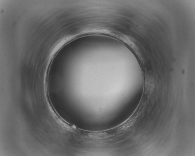 X0000062841199200601131316