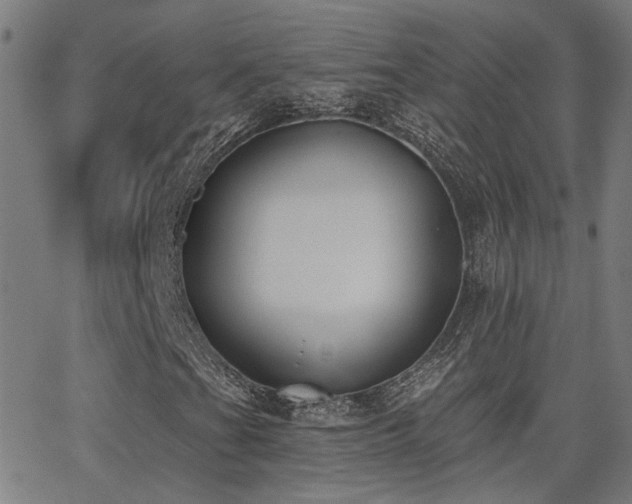 X0000062841201200601131315