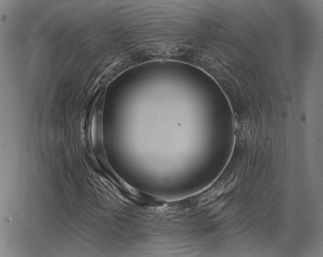 X0000062841202200601131315