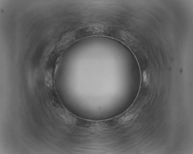 X0000062841203200601131315