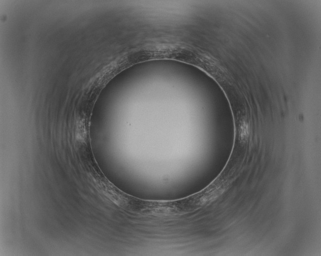 X0000062841204200601131315