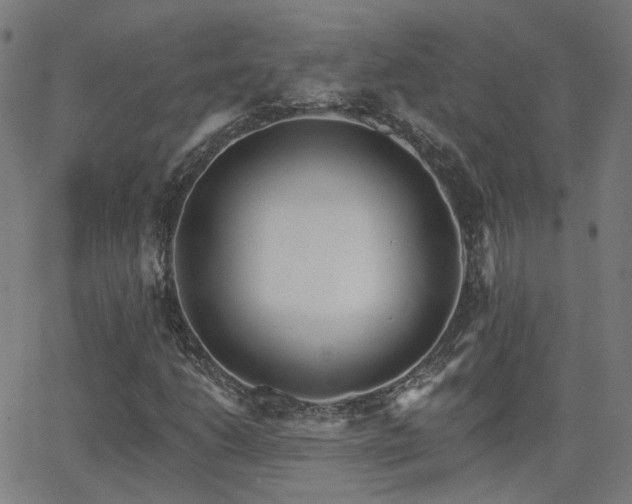 X0000062841206200601131315