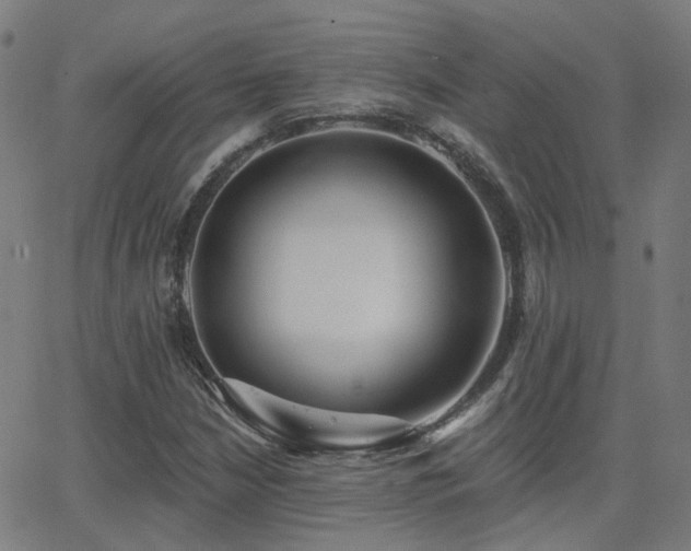 X0000062841210200601131315