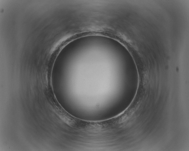 X0000062841214200601131315