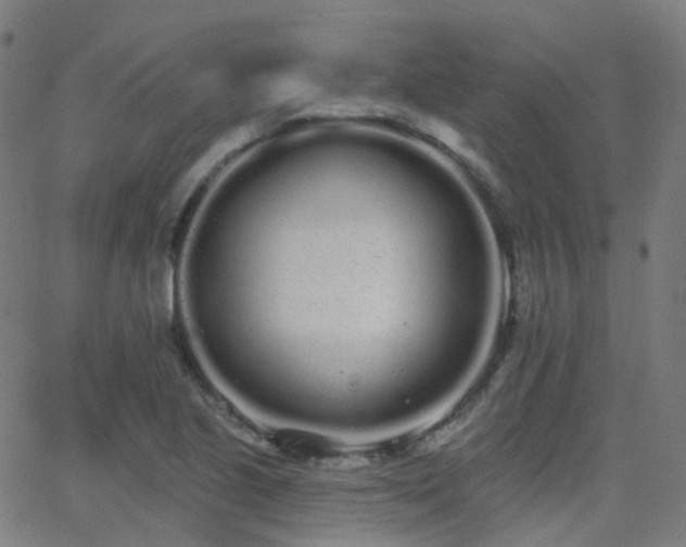X0000062841221200601131315