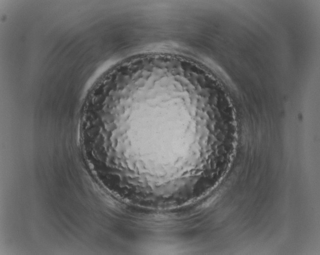 X0000062841224200601131315