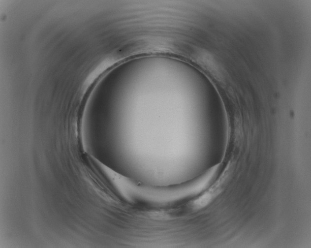 X0000062841226200601131315