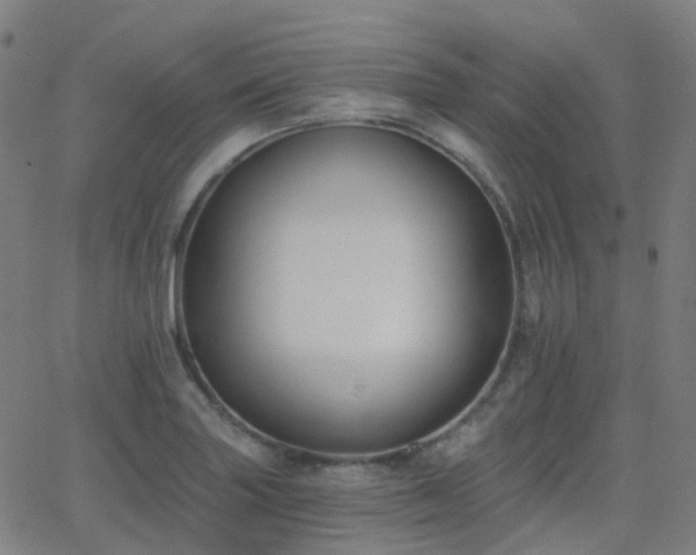 X0000062841227200601131315