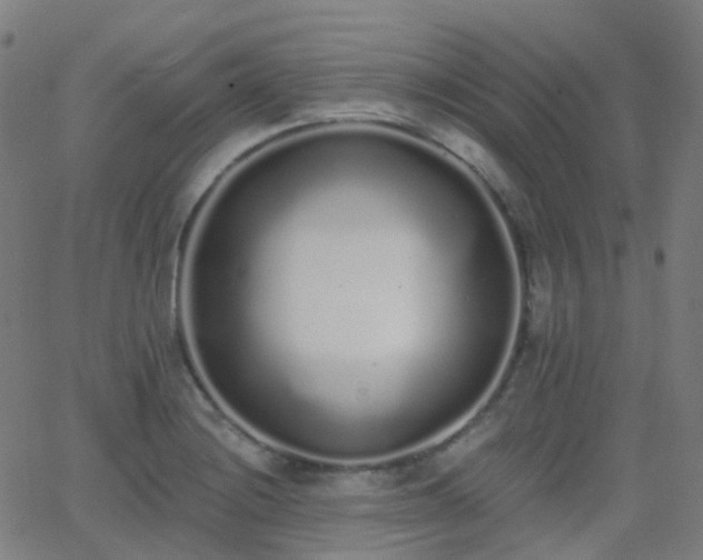 X0000062841228200601131315