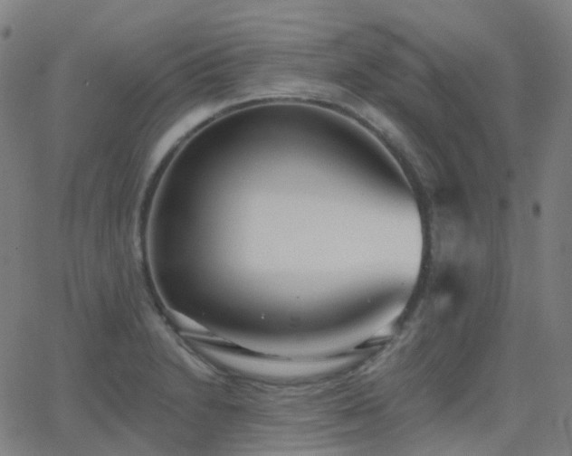 X0000062841230200601131315