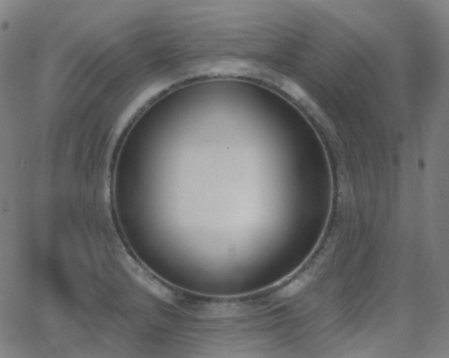 X0000062841232200601131315
