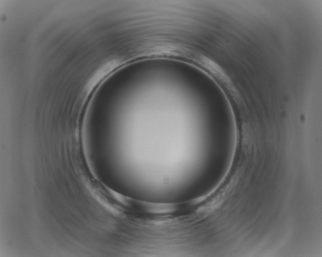 X0000062841234200601131315