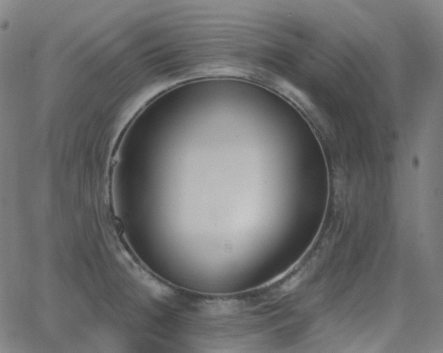 X0000062841236200601131315