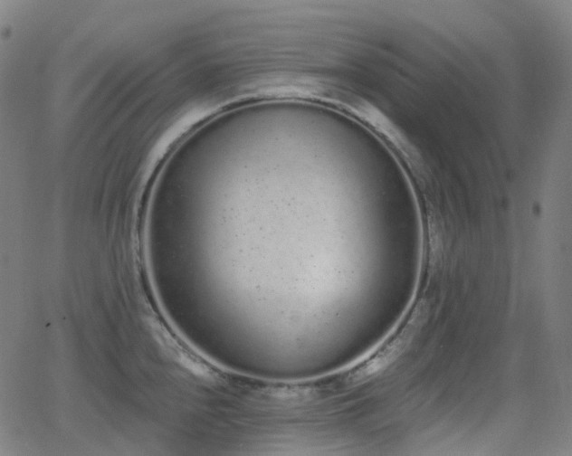 X0000062841240200601131315