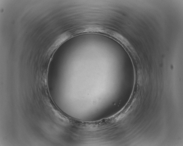 X0000062841241200601131315