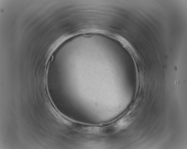 X0000062841244200601131316